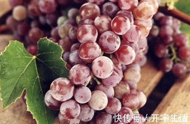 橘子|喝完牛奶千万不要与这3种水果同食，看完一定要转告，你记住了吗