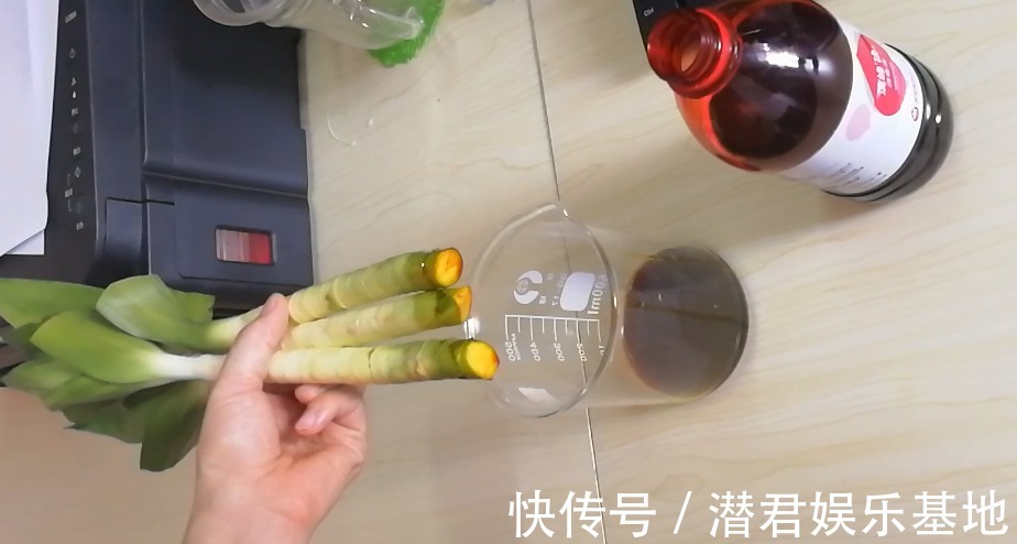 可以浇花的药,过期也要留着,保花不生虫、不生病!