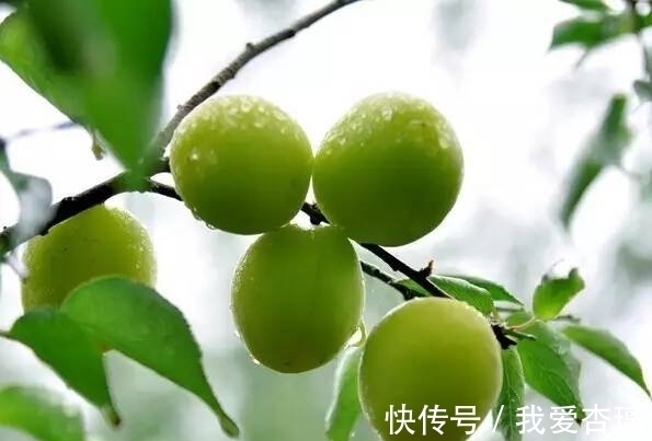 排行榜@写尽人生之愁的诗词,史上10大愁苦诗词排行榜,哪首高居榜首?