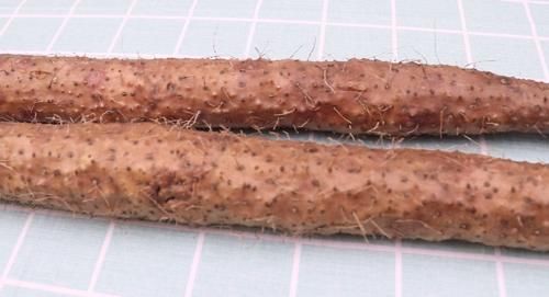 口感|才知道,这3种山药不能买,买了也不能吃,看完涨知识了