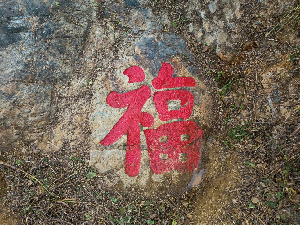 吉祥#晋安新春送福（三）：生龙活虎、健康吉祥