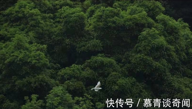 文学作品$萧红《呼兰河传》:生死无常,生死散场(深度好文)