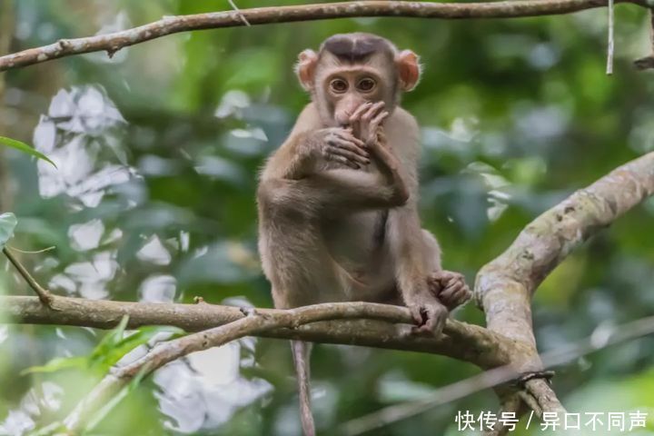 沙滩|叫板三亚，不输巴厘岛！人少景美消费还低，海南旅游去这里就对了