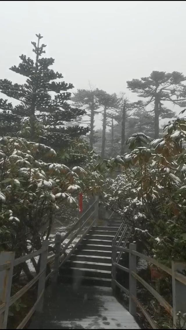  晚上|昆！明！下！雪！了！难怪这么冷，晚上睡觉记得加被子