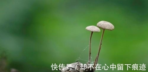 天秤座|风雨不断，却选择继续攀爬，早期默默无闻，迟早看到阳光的星座