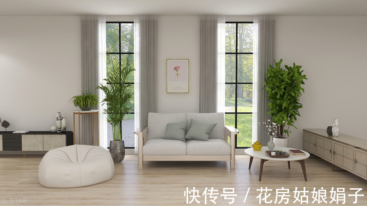 橡皮树|8种观叶植物,耐阴耐旱好养活,30天不晒太阳不浇水,活的很好