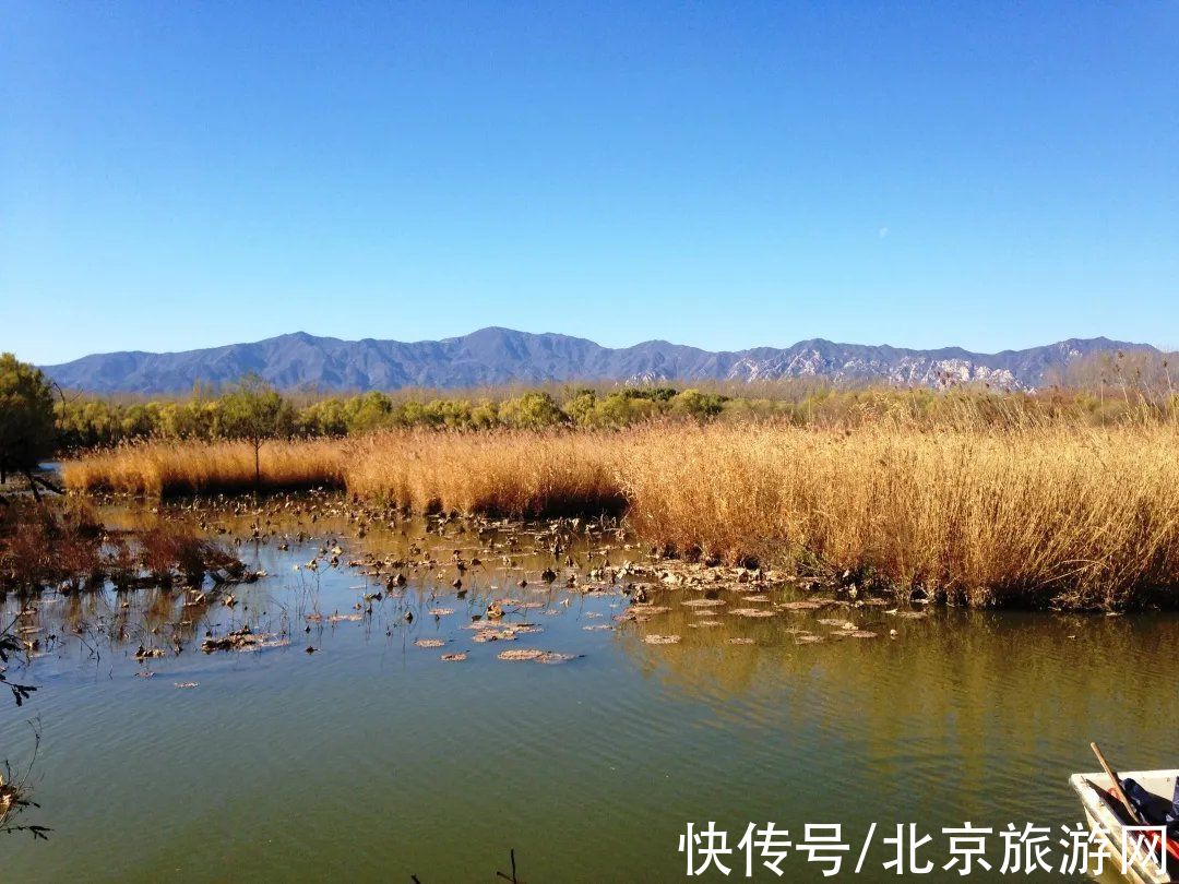 秋色|这个北京绝美的国家湿地公园大部分人都没来过，一起看看它的秋天