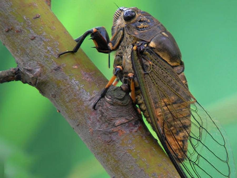 安稳觉|短散文——秋日三则