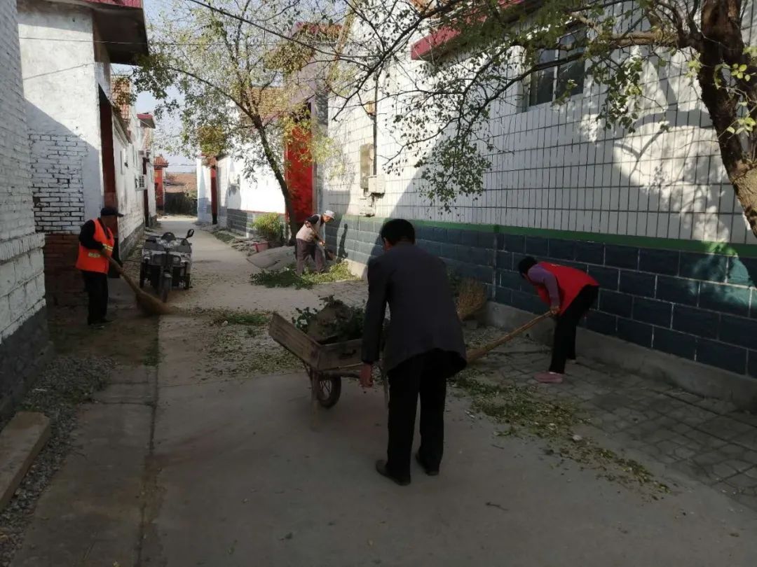 台子|台子镇：周末不休，全民动手提升城乡颜值