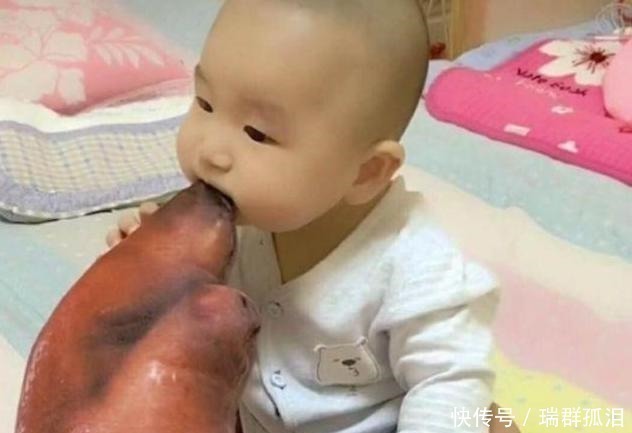 坏习惯|宝宝见什么啃什么,奶奶忍不住塞了猪蹄给孩子,全家人笑翻了