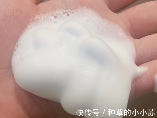 肌肤|盘点油皮强烈喜欢的氨基酸洗面奶,up主心里No.1居然是它