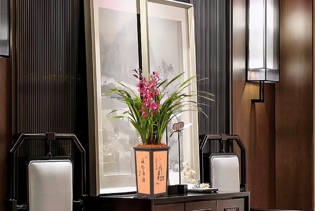 君子之花|它被誉为“香花之王”,顶级红素,兰香四溢,花开后又仙又美