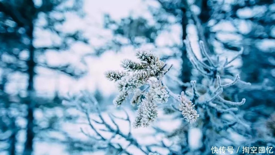 张可久|下雪啦!不读这20句诗词,你就不知道雪有多美