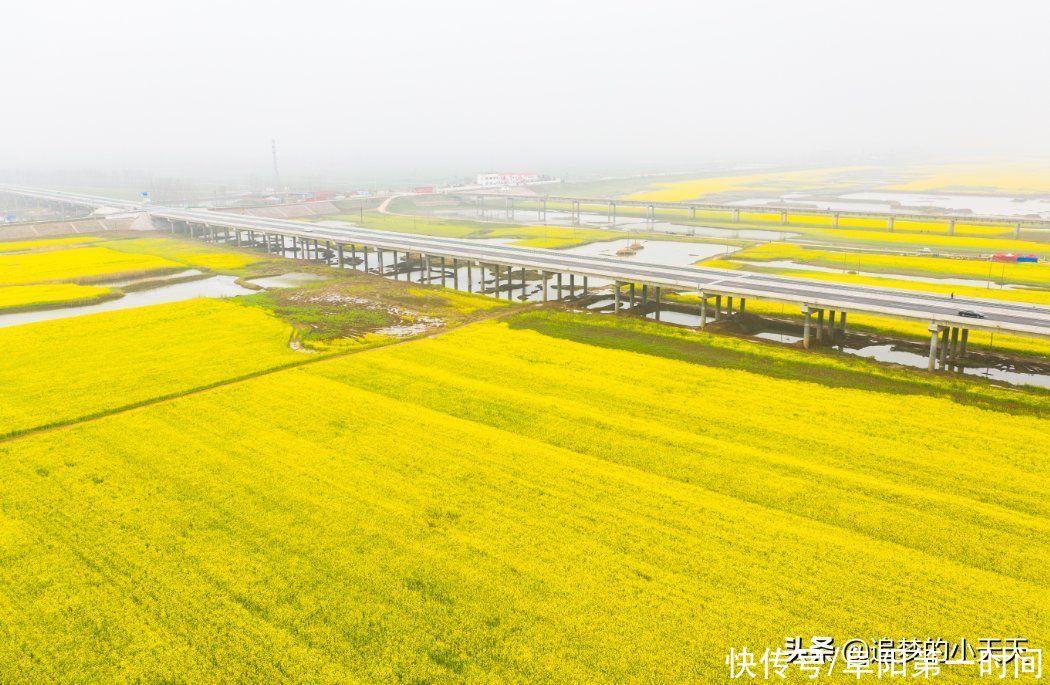 多图直击！阜阳这地方，再次爆红！为啥呢？