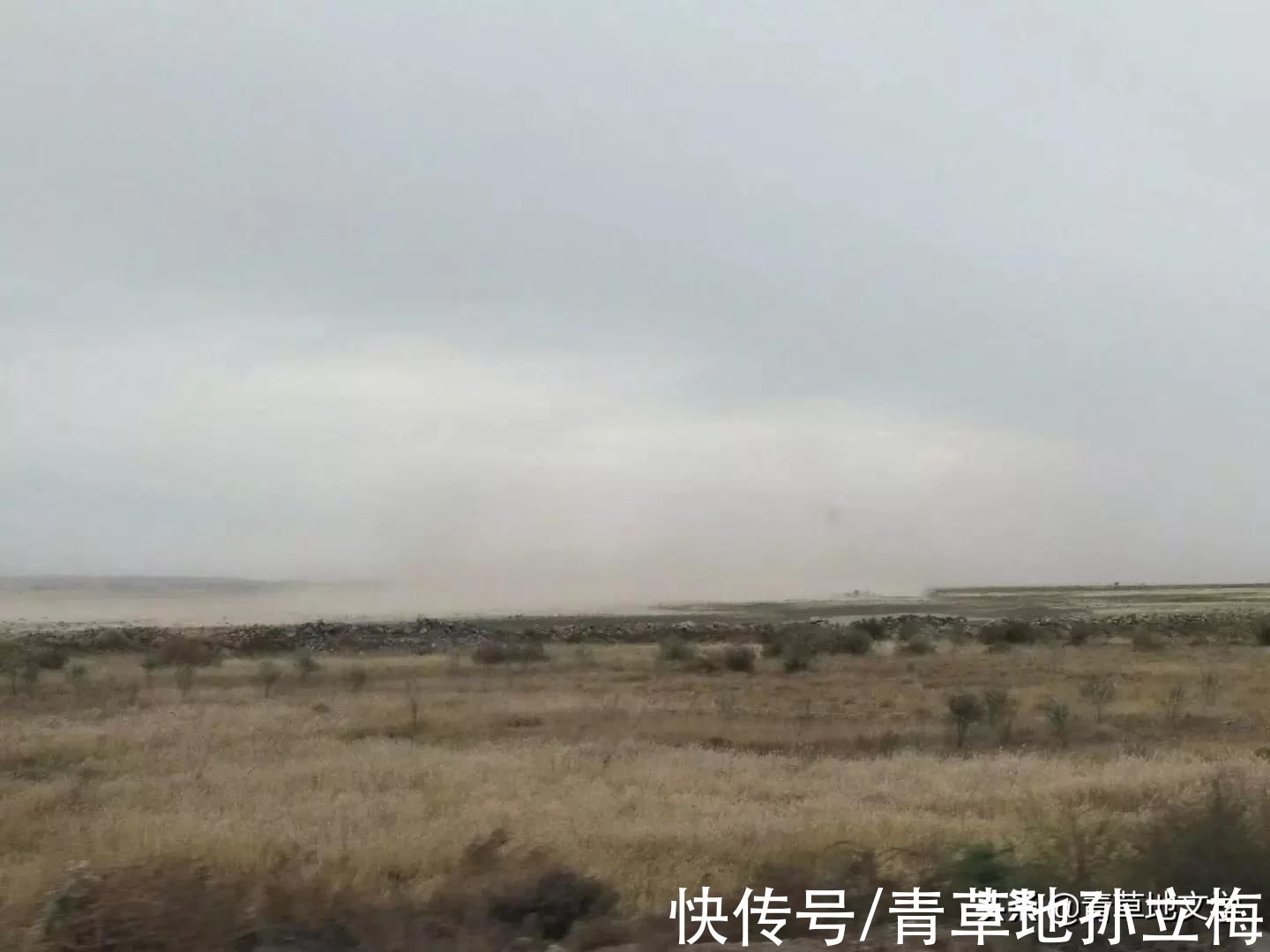 梭梭林@屠申泽，今日芦花又飞雪(组诗)