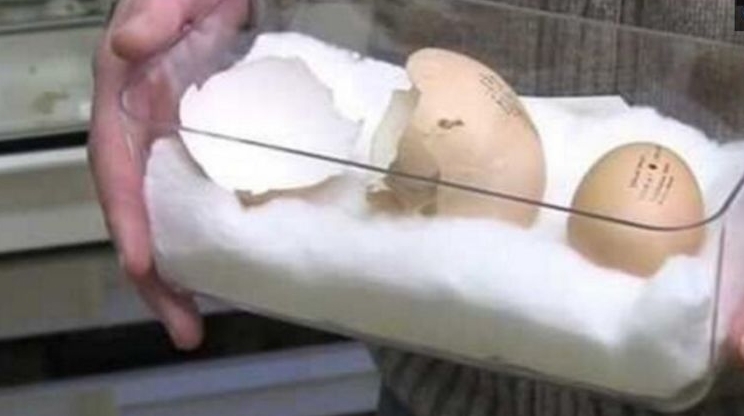 老公|老公煮了一个鸡蛋,妻子敲开发现不对劲,仔细一看令她惊喜不已!