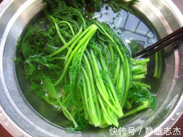 白菜韭菜靠边站，这菜包饺子最香，常食改善视力，增强免疫力