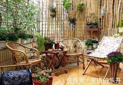 冬季花卉黄叶原因大盘点,看看你的花花中招了没