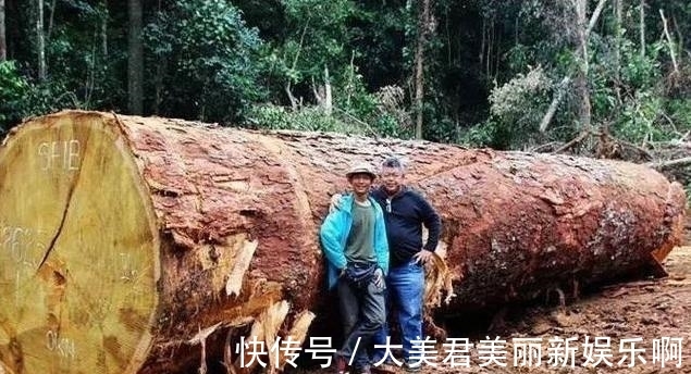 非洲|带大家认识“灌了钢筋和水泥”的千斤实木大板,你还会上当吗?