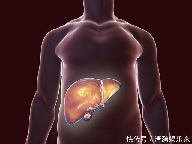 早晨是养肝“黄金期”,尽量做到这三点,助你有效“抵御”肝病