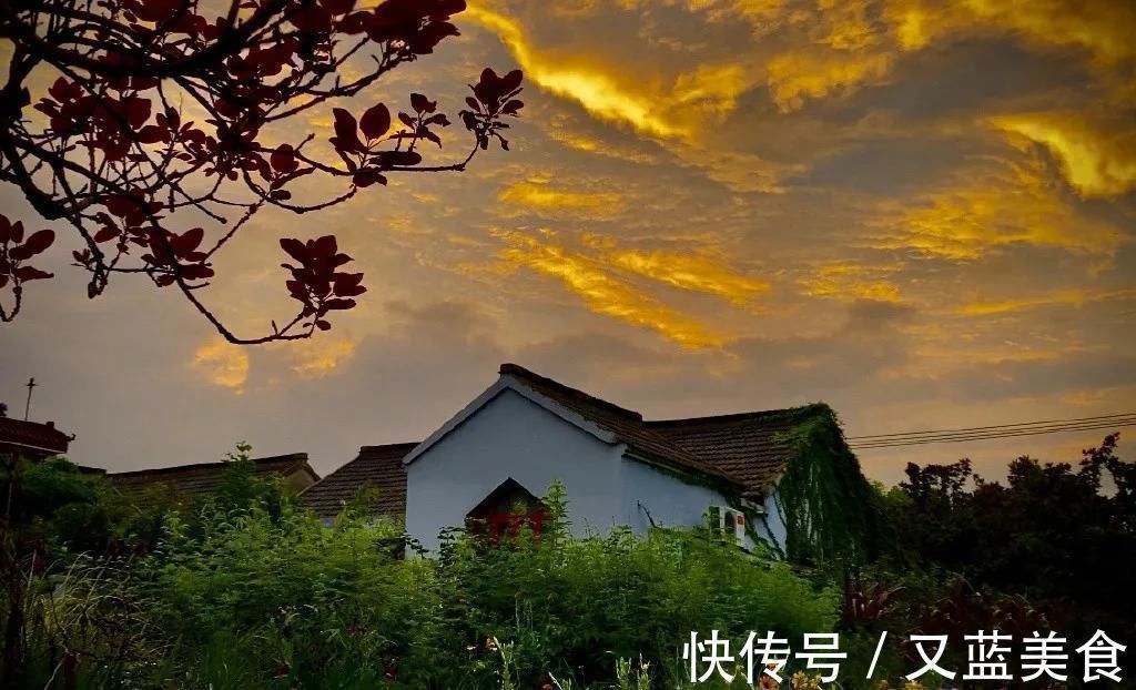 老房|退休夫妻花4年改造自家老房,建3000㎡大花园,住在人间仙境里