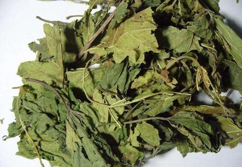 黄褐斑|一个神奇的外用秘方，治黄褐斑有奇效，只需1种树叶，好用还免费