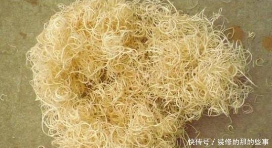 妖教|养花必修课,蓝妖教你认识最前沿的种植基质