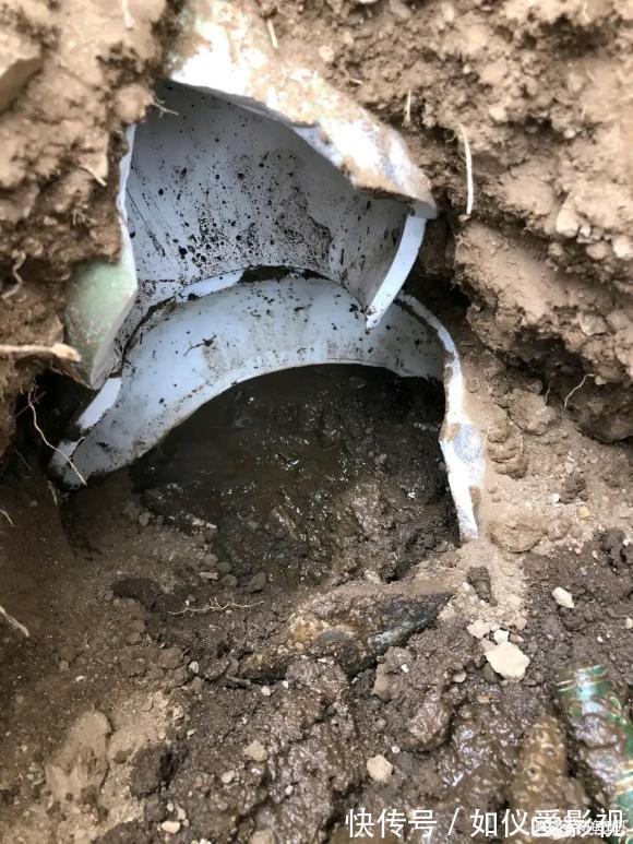 大部分|野钓都有哪些惊喜?大部分是送菜,还有捡首饰发家致富的