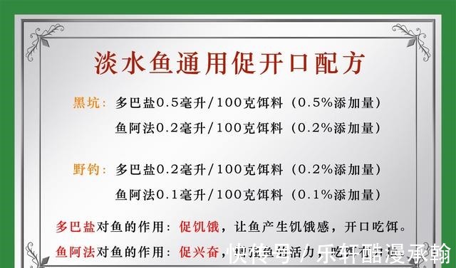 冬天时大鲫鱼和小鲫鱼哪个好钓大鲫鱼和小鲫鱼的摄食习性比较