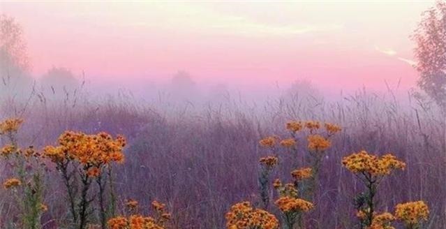 传世&姜子牙《六韬》10则传世名句,经典睿智,每读一遍都有收获!