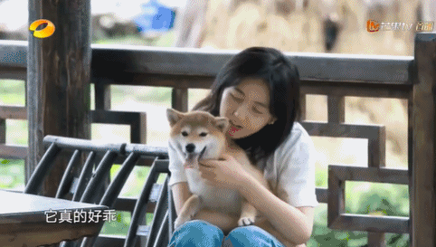 彭彭 长寿国综被毁,把锅甩给她?