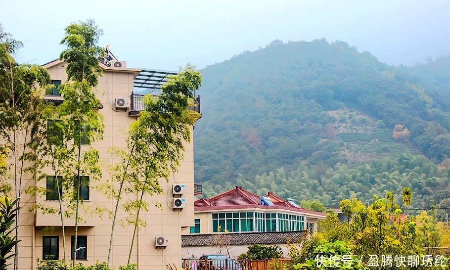 柿子|长兴有一个美丽的小山村，它的名字叫石岕口，仿佛静谧的山水画般