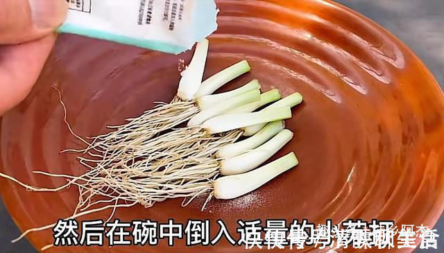 搅拌均匀|扔葱根等于扔钱,葱根原来是个宝,作用这么厉害,太实用了