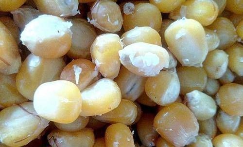 饵料|野钓打窝就用它,窝料入水就有鱼进窝,大鱼都排着队上钩