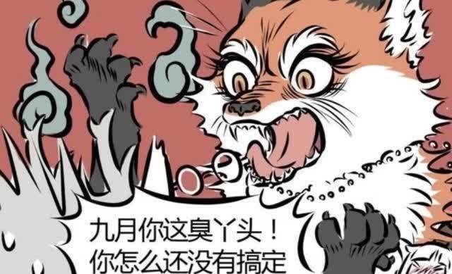 阿婆|非人哉:九月的设定是北极狐?品种和妲己差别好大