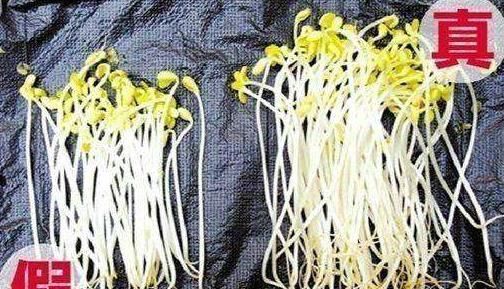 餐桌|含有毒素的五种蔬菜,是餐桌上的“常客”,食用禁忌须了解