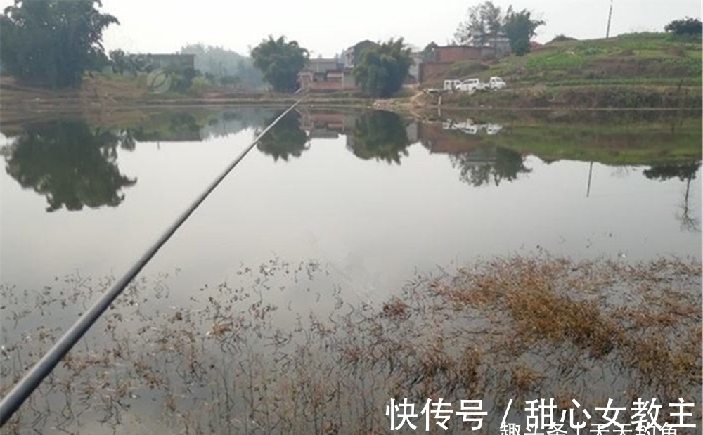 冬季低温发窝慢，打窝聚鱼要分4步走，距离远的鱼群也能排队进窝