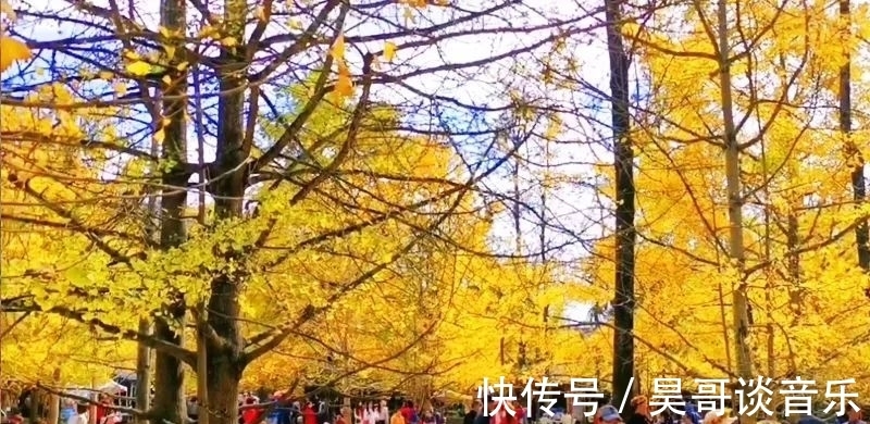 秋天|最适合10月旅游的15个地方，再不出发秋天就过去了