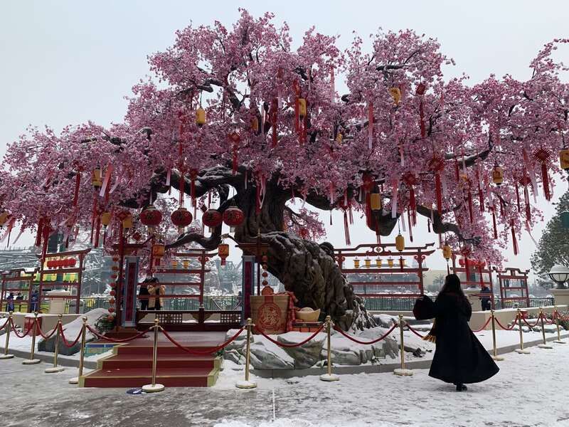 新春|北京环球度假区开启首个“环球中国年”，解锁在京过年新玩法