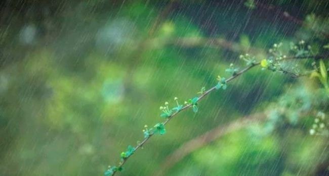 酒家$杜牧一生诗词数不胜数,唯有这首诗,传承千百载人尽皆知