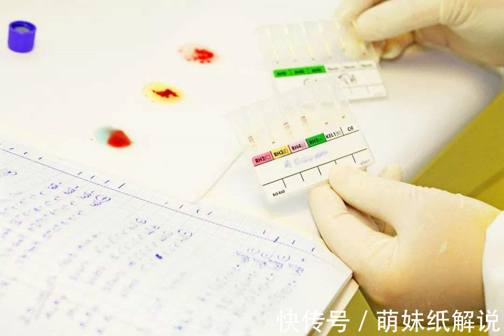 产前焦虑|研究发现夫妻是这种血型,生出的孩子更聪明,不过也有小烦恼