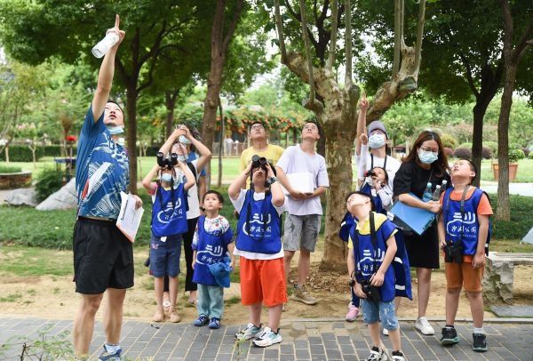 乌鸦|沙湖边听到了“呜呜”电瓶车警报？其实是乌鸫在“学舌”