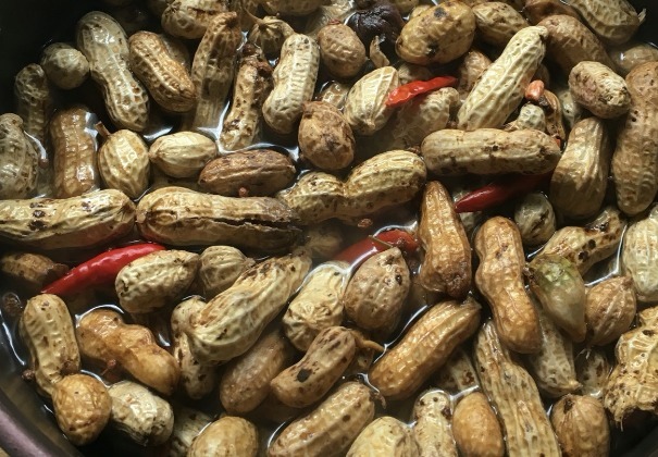 长寿药|最便宜的“长寿药”终于被发现,家家户户都有,推荐最佳吃法