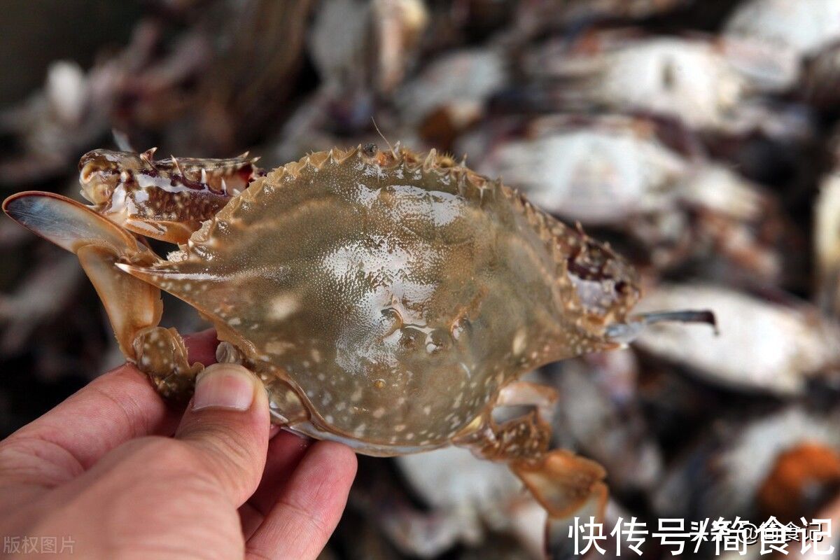 怎样保存螃蟹？大厨：直接放冰箱是大错，教你1招，放7天照样新鲜