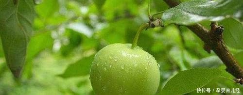 肌肤|会吃的人最健康,坚持吃以下食物能在美白的同时起到滋养肌肤的重要作用