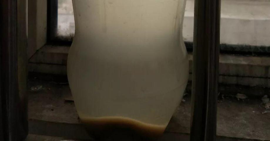 绿萝长得慢?多浇“2种水”,不用多花钱,茎叶就养得绿油油