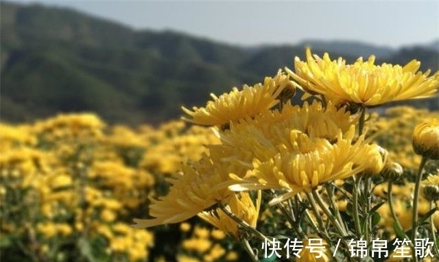 剡溪$不因兴尽回船去，那得山阴一段奇。魏晋风骨在宋诗里的传唱