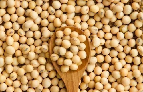 雌激素|女性到了35岁，饮食坚持“三多两少”，能顺利度过更年期