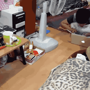 |搞笑GIF:看把人都喷成什么样子了,亲妈都认不出来了