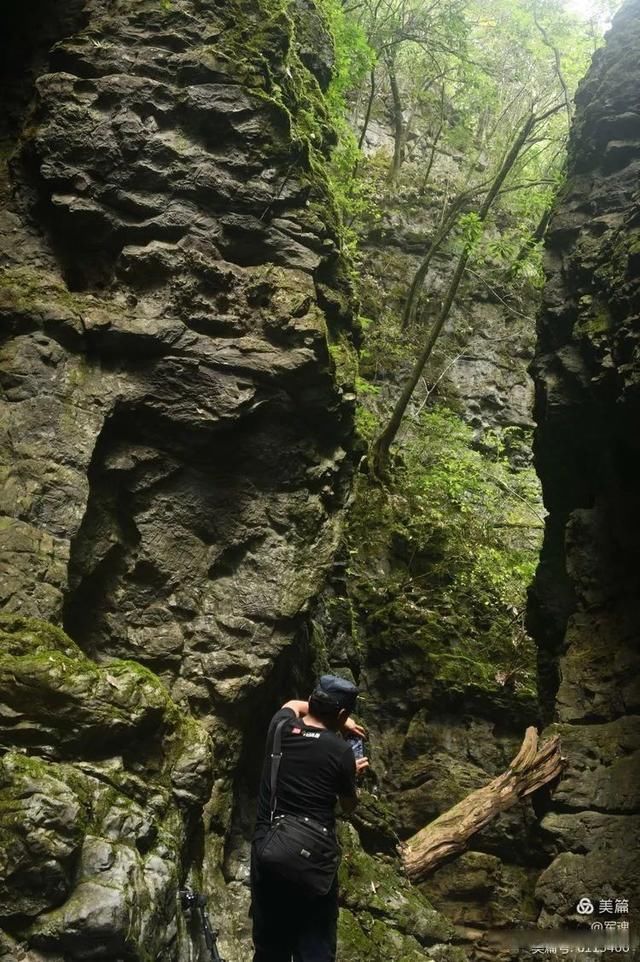 岩壁|探秘鬼斧神工的汉中“大屋基”地缝峡谷，秦巴深处的地质奇观